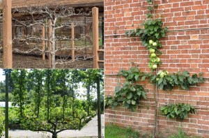 my intention is that it looks like the tree on the brick wall