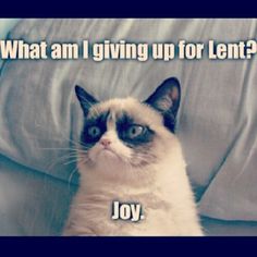grumpy cat lent
