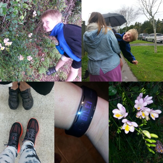 IMG_20150904_194404.jpg image