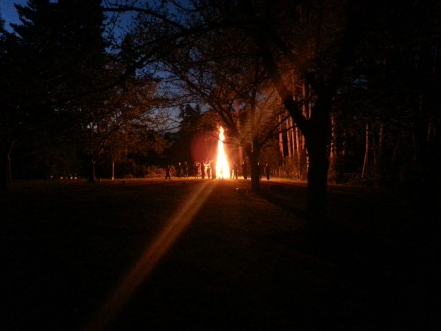 20151107_203144.jpg image